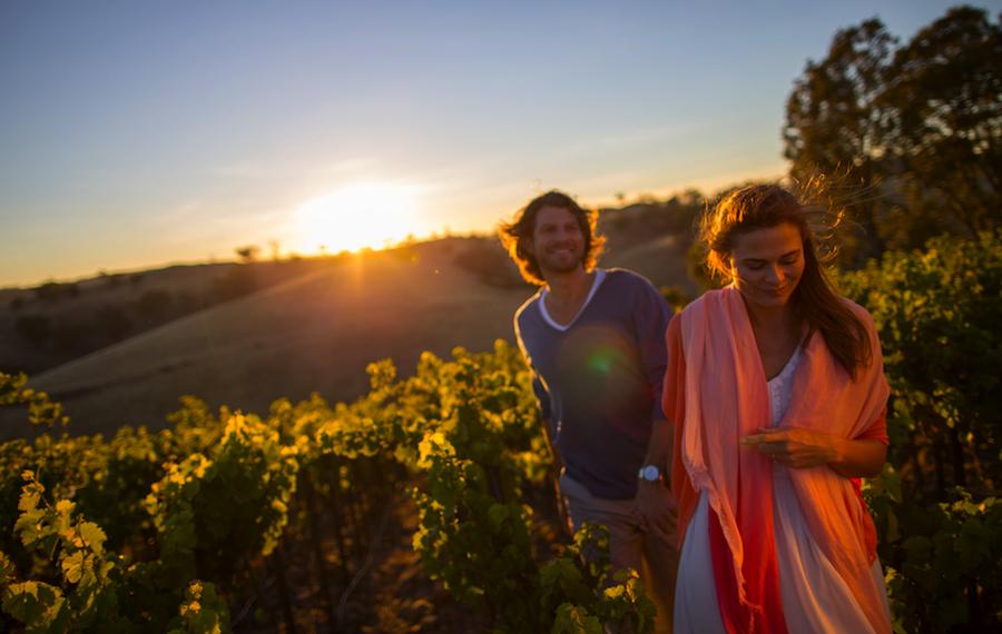 Barossa Valley image